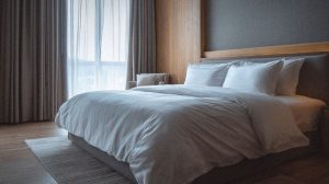 Punaises de lit dans les hôtels parisiens et responsabilité juridique