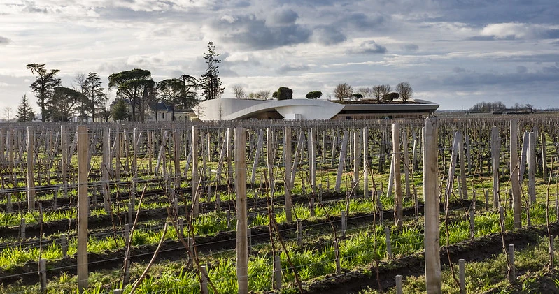 activite vinicole à Bordeaux